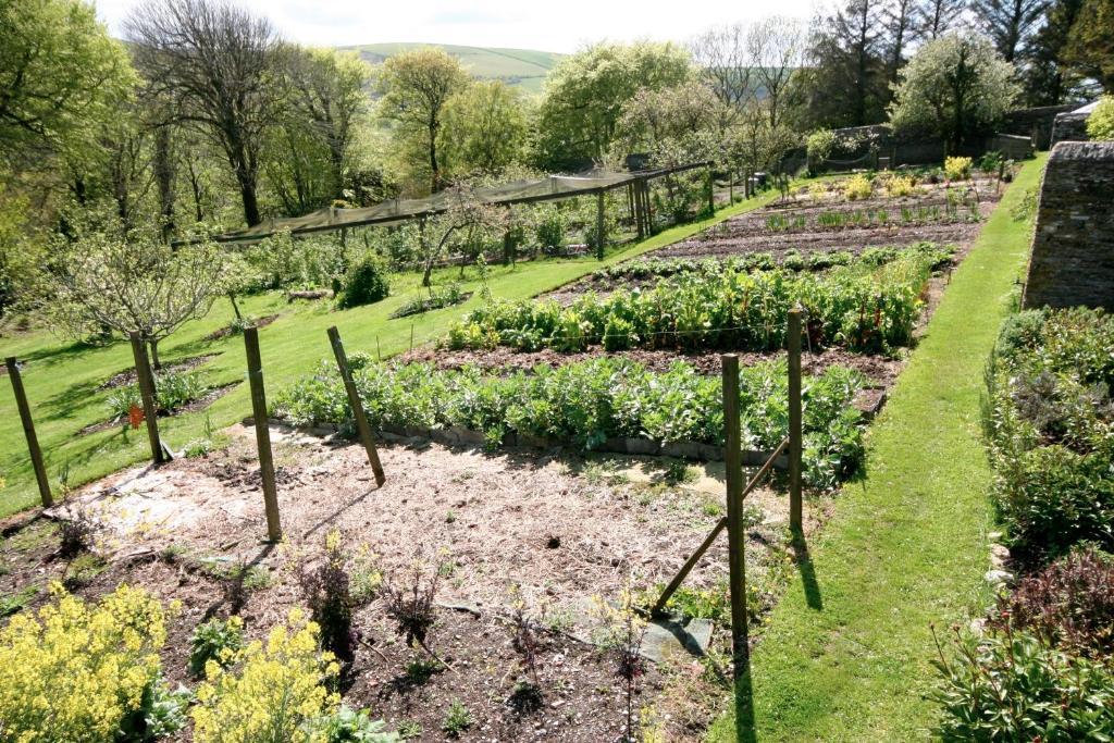 The Old Rectory Bed and Breakfast Boscastle Εξωτερικό φωτογραφία